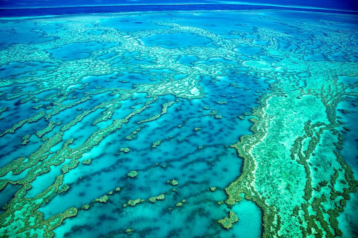 australia este gran barrera de coral ART 226: VIAJANDO: EL TIEMPO EN TU DESTINO AUSTRALIA/ESTE