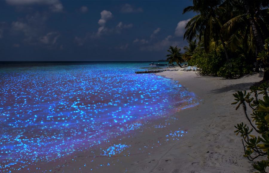 maldivas mar de estrellas ART 269: VIAJANDO: EL TIEMPO EN TU DESTINO MALDIVAS